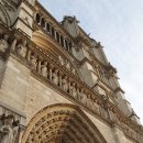 센느약국 이미지