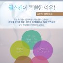 웰스킨