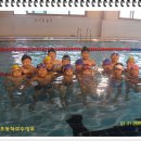 수영장의여름훈련모습들 ! ! !.....초등부 이미지