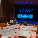 자우림 | 군산 자우림 & 크라잉넛 콘서트 후기