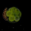 gc-camera-049 이미지