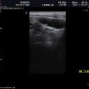강동24시SKY 동물병원 이미지