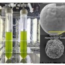 리싸이클세상 이미지