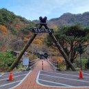 소백산국립공원 남천야영장 이미지