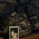 시영목장 이미지