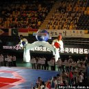 코리아태권도 체육관 이미지