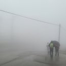 서화 체육공원 이미지