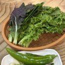 춘천 갈매기살 내돈내산 맛집 찐 당골집 후기[가야갈매기]메뉴/주차/솔직후기/예약