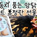 둥지마트 이미지