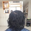 왕가위 헤어모드 & The-붙임머리