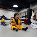 건영태권도 이미지