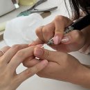 네일 팔레트(Nail palette)