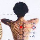 지성한의원 이미지