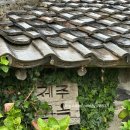 제주고옥 | 애월 한림 감성 숙소 한옥집 제주고옥 1박 숙박후기