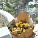 꽃동산유치원 | 💛대구돈꽃다발 장미꽃다발💛생신꽃다발 노란장미꽃🌻대구꽃집은 감성꽃🌼