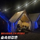 숲속의강촌 | 춘천 엘리시아 강촌 근처 숙소 추천 &#34;숲속의 강촌&#34; 숙박 후기