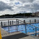 멍멍사우나 이미지