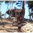 솔마루길 남산 이미지