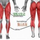 서초대로40길 77 | [재활운동]무릎 수술 후, 한 단계 업그레이드된 재활운동 3가지