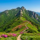 노고단-16 | 지리산 노고단, 구름 위를 걷는 여행