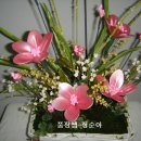 어레인지먼트 이미지