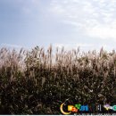 남해바다 이미지