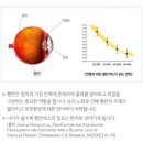 밝은영양제