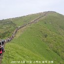 [07/05-27] 경북 영주 소백산 비로봉 철죽산행 이미지