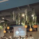 유투뷰티