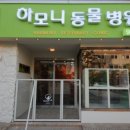 하모니동물병원 이미지