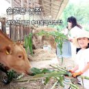 관진로 | 프루떼 농장 이천 체험 추천 서울 근교 솔로몬농장 아이랑 가볼 만한 곳