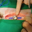 코끼리동물병원 이미지