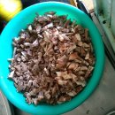 시장꿀꿀이 이미지