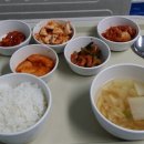 코끼리휴병원 이미지