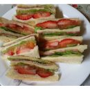 솔 피시 이미지