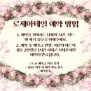 로제아네일 네이버블로그