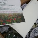 홍운농장 이미지