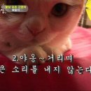 상귀농장 이미지