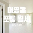 신대박공인중개사사무소 | [대구 포룸 월세] 남산역 인근 역세권 반려동물 가능한 남구 대명동 포룸 월세, 주차 가능