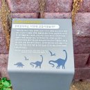 일광로 | 기장 아기랑 가볼만한곳 신평소공원 수선화 꽃구경