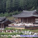면과정 Daum카페