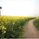 유행가 노래연습장 이미지