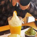 다인상회 이미지