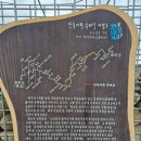 단종로9번길 | [왕과 사는 남자] 영월 청령포, 단종 어소,선돌, 한반도지형 당일치기 후기