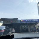 인우카센타 이미지