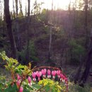 한국생약국 이미지