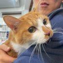 연지 동물병원 이미지