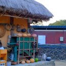 구난이약나무마을 | 안동 하회마을 볼거리 입장료 입장시간 지나고 들어간 후기