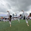 강철 태권도 이미지