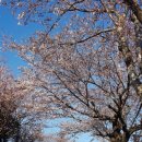 위미 필하우스 이미지